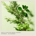 Aveda Rosemary Mint Shampoo: Clarifies, Adds Shine, Invigorates Hair. - Image 6