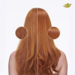Dove Damage Therapy Shampoo: Daily Moisture for Dry Hair. - Image 4