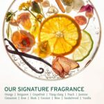 Biolage Color Last Shampoo: Nourishes, Strengthens, Hydrates Color-Treated Hair - Image 5