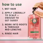 Herbal Essences Rose Hips Shampoo for Shiny, Color-Safe Hair - Image 3