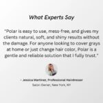 Polar Haircare Jet Black Hair Dye Shampoo for All Hair Types - Image 3