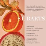 OUAI St. Barts Exfoliating Scrub for Smooth, Hydrated Skin - Image 3