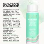 Pacifica Rosemary Clarifying Shampoo: Detox for Hair & Scalp - Image 3