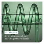 Biolage Color Last Conditioner: Color Protection, Hydration & Shine. - Image 7