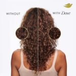Dove Coconut Conditioner for Dry Hair with Bio-Protein Technology - Image 4