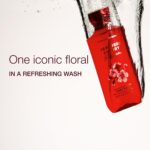 Japanese Cherry Blossom Body Wash Duo: Nourishing & Gentle Cleanser - Image 2
