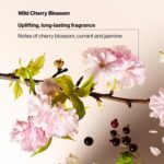 Suave Body Wash 2-Pack: Sweet Pea & Cherry Blossom - Image 4