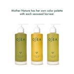 OSEA Undaria Algae Body Oil: Firming, Moisturizing, Vegan Hydration - Image 4