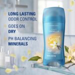 Secret Fresh Antiperspirant for Women: 72hr Odor Protection, Cozy Vanilla - Image 2