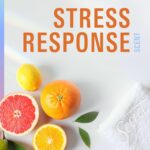 Secret Clinical Strength Antiperspirant: 3X Stress Protection for Women - Image 9