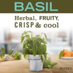 Mrs. Meyer's Basil Hand Lotion: Non-Greasy, Essential Oil Moisturizer - Image 3