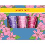 Burt's Bees Spring Set: Trio of Moisturizing Hand Creams - Image 4