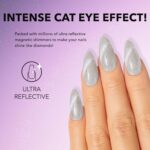 Kiara Sky Cat Eye Gel Polish - Silver White Magnetic Finish - Image 3